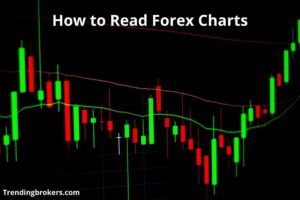 How To Read Forex Charts: Best Trading Guides