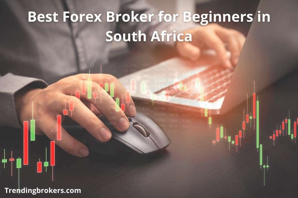 Best Forex Broker for Beginners in South Africa
