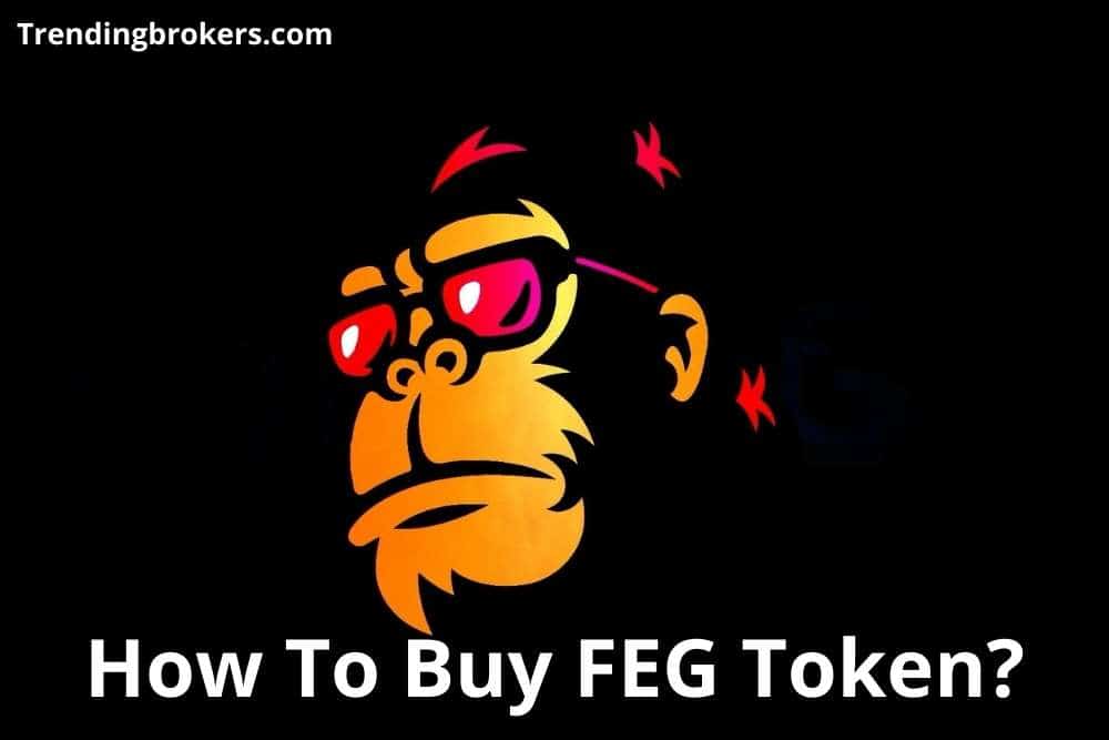 How To Buy FEG Token