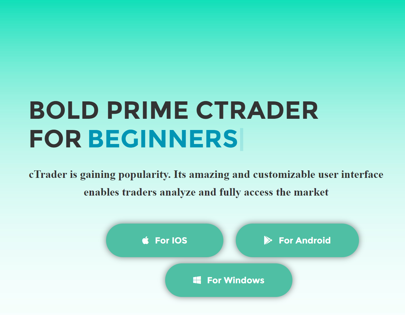 Bold Prime CTrader for Beginners