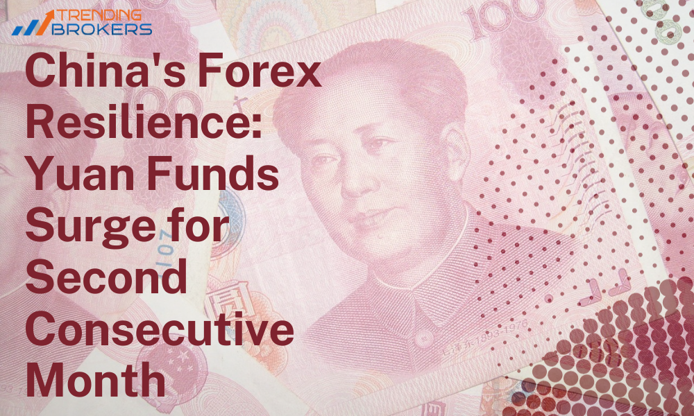 China's Forex Resilience Yuan Funds Surge for Second Consecutive Month