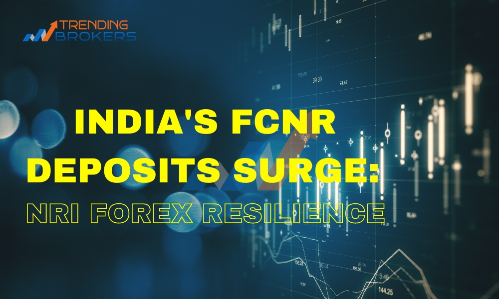 India's FCNR Deposits Surge NRI Forex Resilience