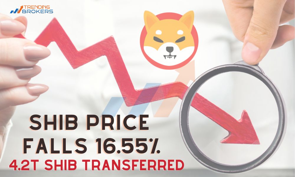 SHIB Price Falls 16.55% with 4.2T SHIB Transferred